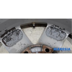 Renault - Scenic - Sportvelgenset + banden