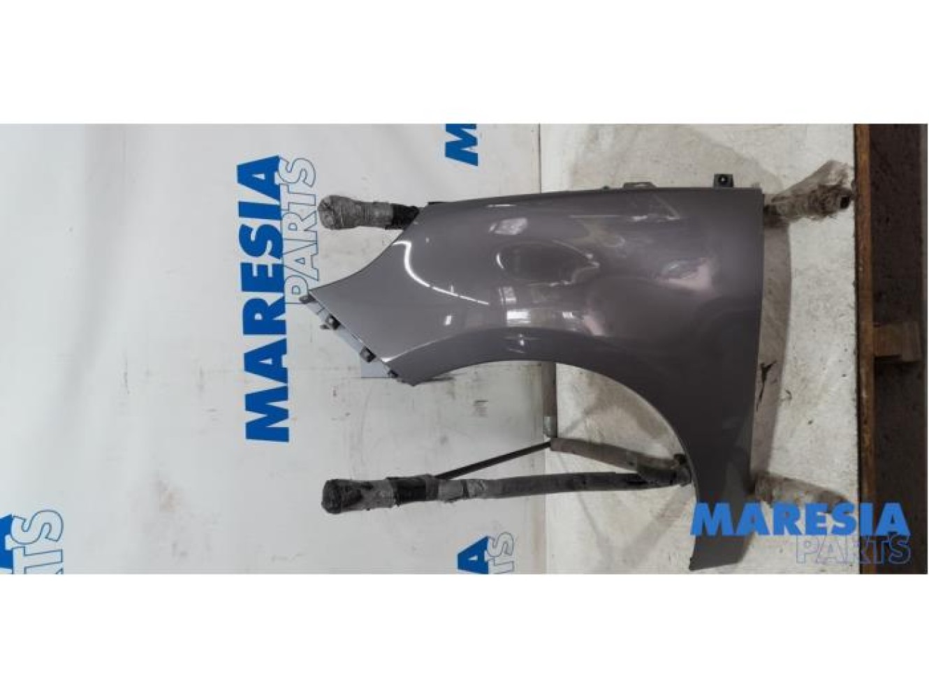 Renault - Scenic - Scherm links-voor
