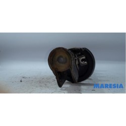 Citroen - Jumpy - Front shock absorber rod, right