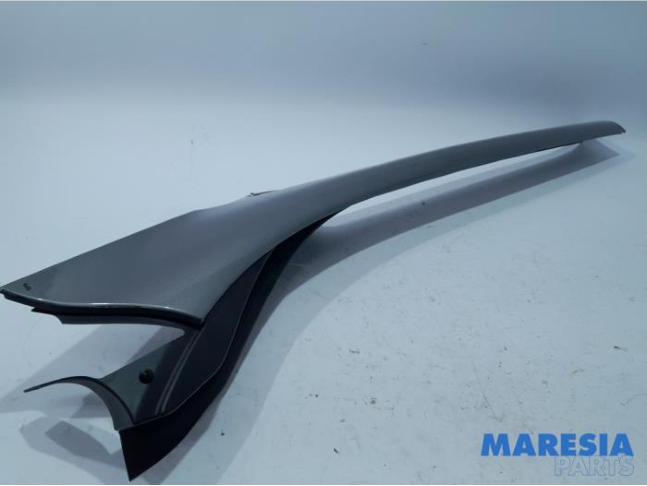 Renault - Scenic - Protection montant A droit