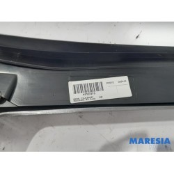 Renault - Scenic - Protection montant A droit
