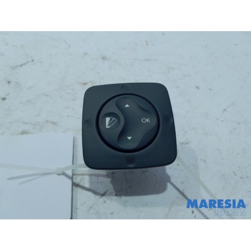Renault - Scenic - Switch (miscellaneous)