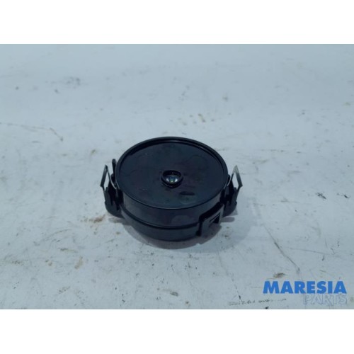 Renault - Scenic - Rain sensor