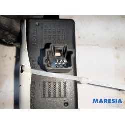Renault - Scenic - Panic lighting switch