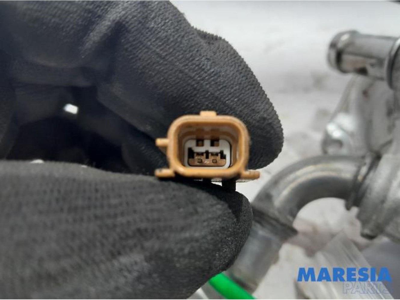 Renault - Megane - EGR valve