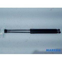 Citroen - C3 - Set of tailgate gas struts