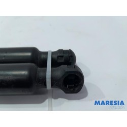 Citroen - C3 - Set of tailgate gas struts