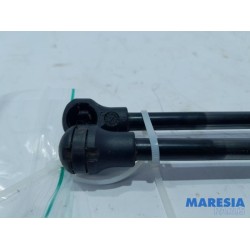 Citroen - C3 - Set of tailgate gas struts