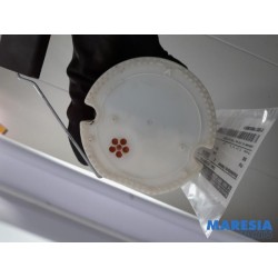 Fiat - 500 - Kraftstoffpumpe Elektrisch