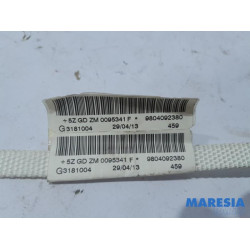 Peugeot - 208 - Airbag hemel links