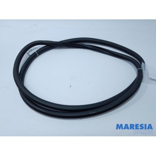 Peugeot - 308 - Front door seal 4-door, right
