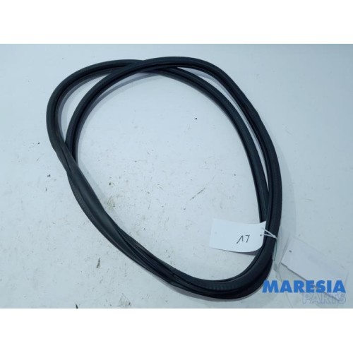 Peugeot - 308 - Front door seal 4-door, left