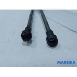 Renault - Trafic - Set of bonnet gas struts