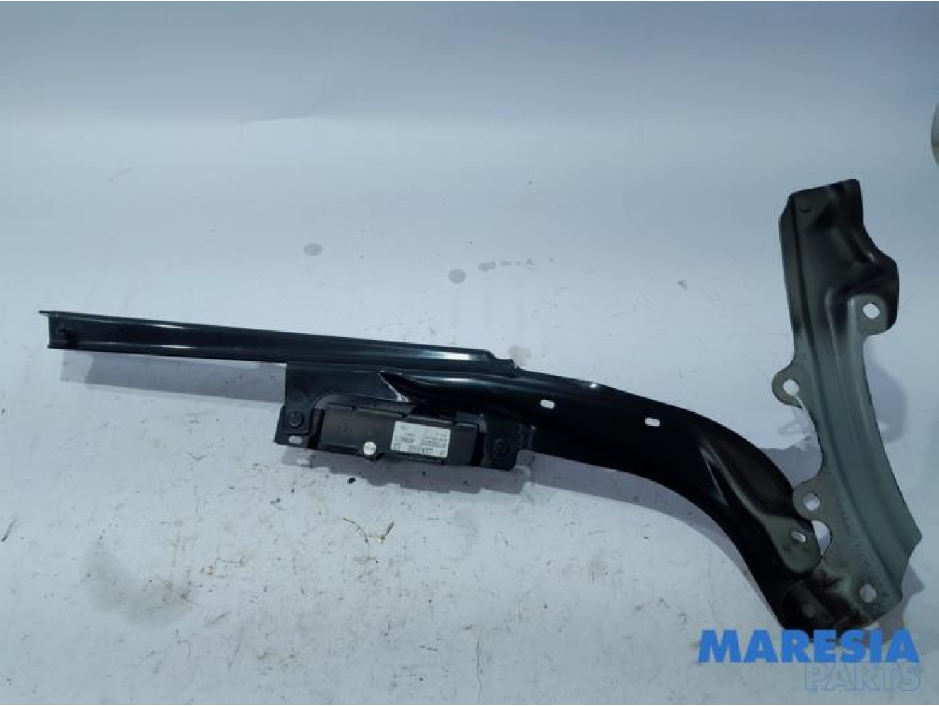 Renault - Wind - Tailgate hinge
