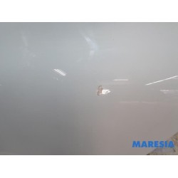 Renault - Clio - Tür 4-türig links hinten