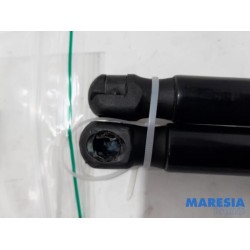 Renault - Wind - Set of bonnet gas struts