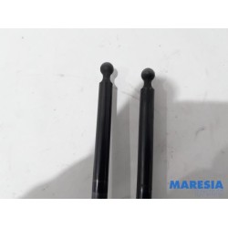 Renault - Wind - Set of bonnet gas struts