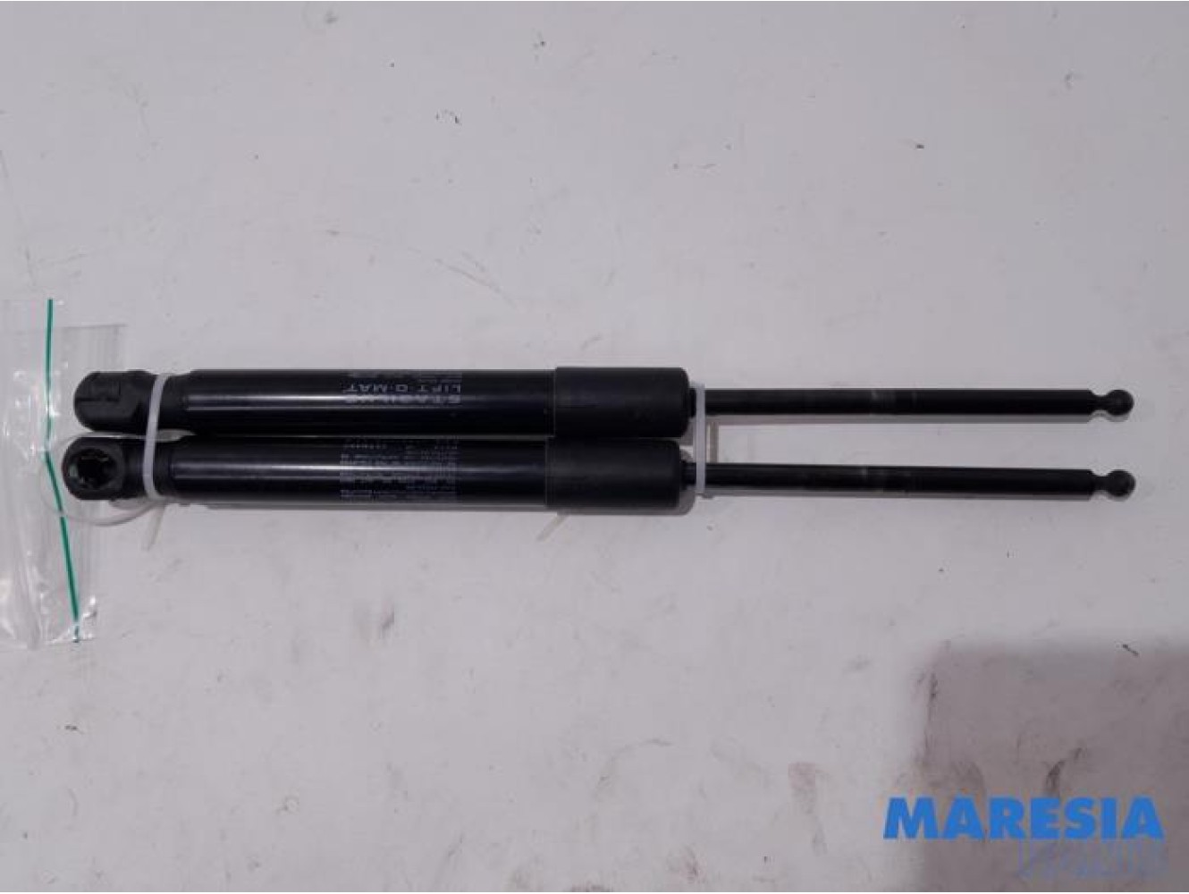 Renault - Wind - Set of bonnet gas struts