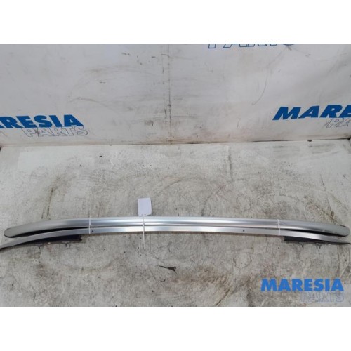 Renault - Clio - Dachreling Set