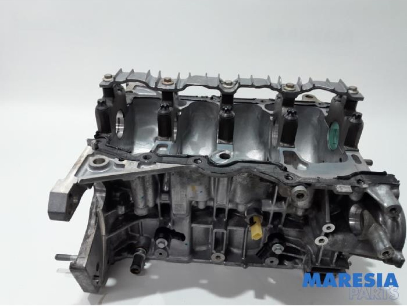 Renault - Captur - Motor Unterblock