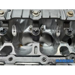 Renault - Captur - Motor Unterblock