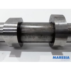 Renault - Megane Scenic - Camshaft
