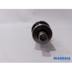Renault - Megane Scenic - Camshaft