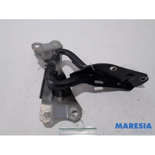Renault - Wind - Bonnet Hinge
