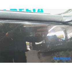 Renault - Trafic - Portier 2Deurs rechts