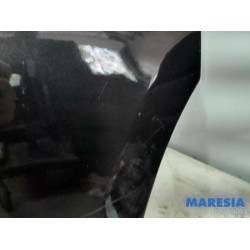 Renault - Trafic - Portier 2Deurs rechts