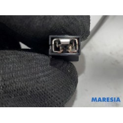 Citroen - C4 Grand Picasso - Antenna Amplifier