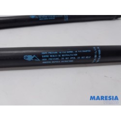 Citroen - C4 Grand Picasso - Set of tailgate gas struts