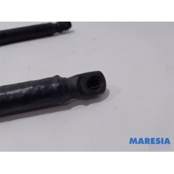 Citroen - C4 Grand Picasso - Set of tailgate gas struts