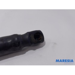 Citroen - C4 Grand Picasso - Set of tailgate gas struts