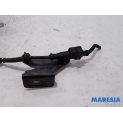 Renault - Trafic - Knuckle, front right