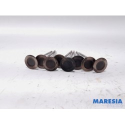 Renault - Clio - Induction valve