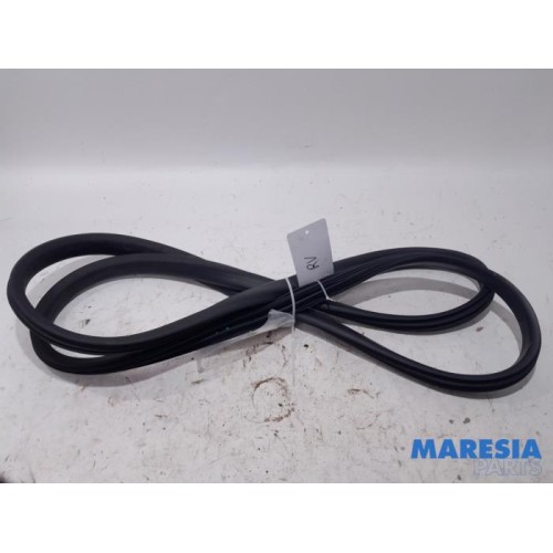 Renault - Clio - Front door seal 4-door, right