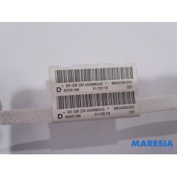 Peugeot - 208 - Airbag plafond droite