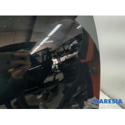 Renault - Scenic - Tür 4-türig rechts vorne