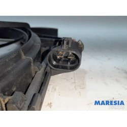 Fiat - Panda - Koelvin Motor