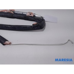 Citroen - C5 - Airbag hemel links
