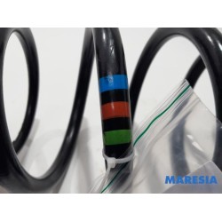 Peugeot - Expert - Rear coil spring