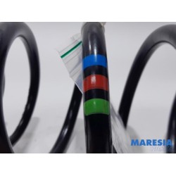 Peugeot - Expert - Rear coil spring