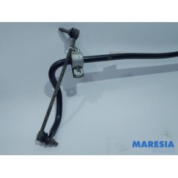 Peugeot - Expert - Front anti-roll bar