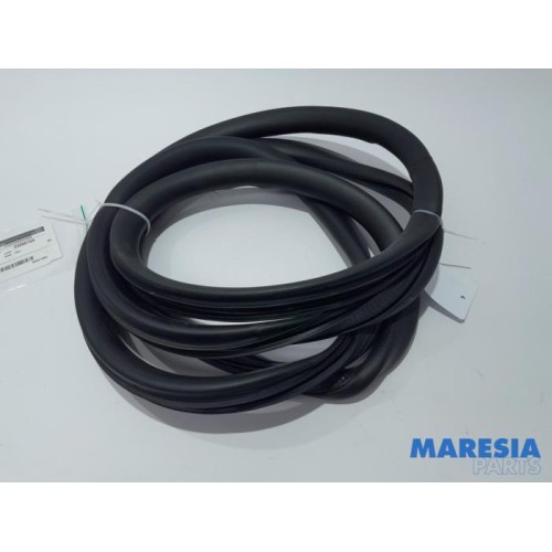 Peugeot - Expert - Door seal 2-door, left