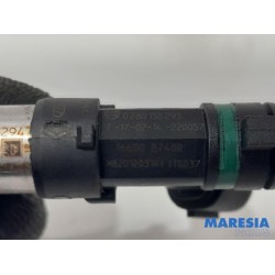 Renault - Clio - Injector (petrol injection)