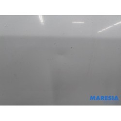 Fiat - Ducato - Achterdeur Bus-Bestelauto