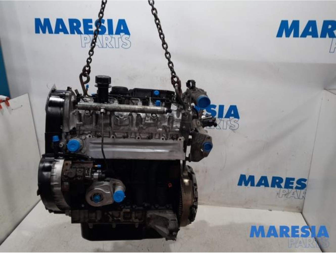 Fiat - Ducato - Engine