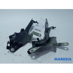 Renault - Scenic - Bonnet Hinge