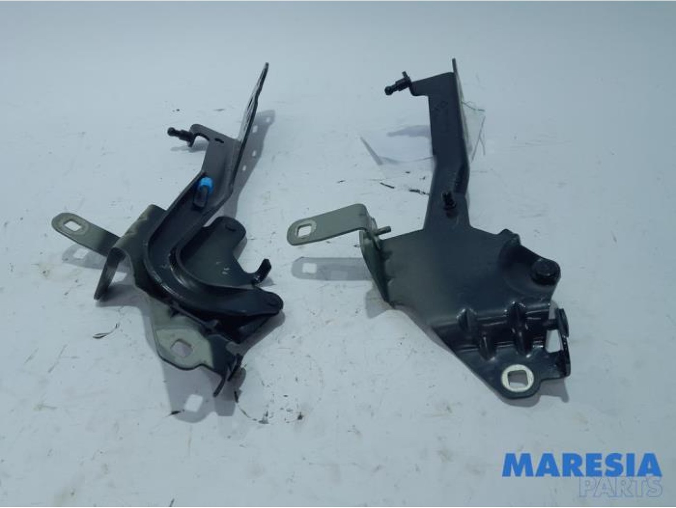 Renault - Scenic - Bonnet Hinge